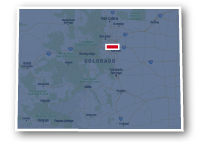 denver singletrail focus